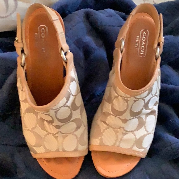 Shoe - Picture 1 of 1